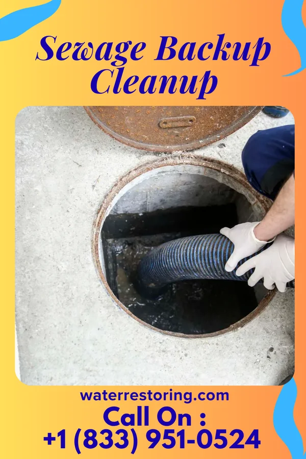 Sewage Backup Cleanup in Baldwin Park, MO